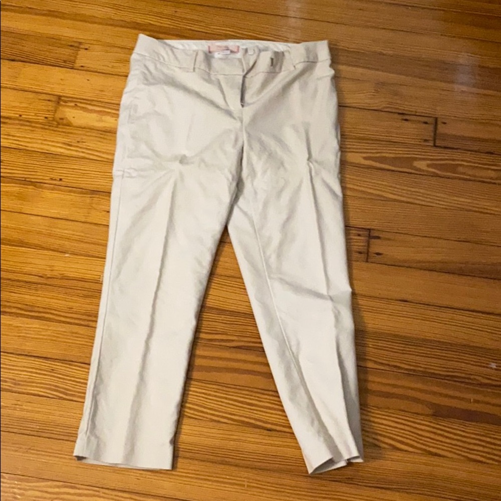 Horse Riding pants
